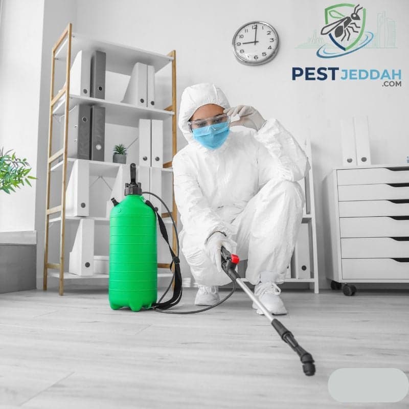 مكافحة النمل