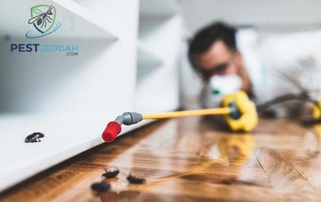 مكافحة بق الفراش