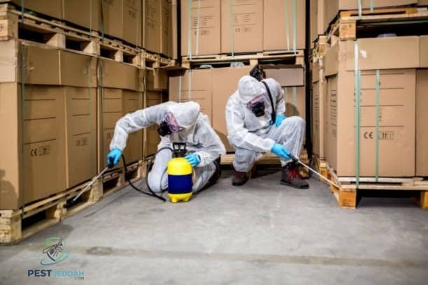 مكافحة الصراصير