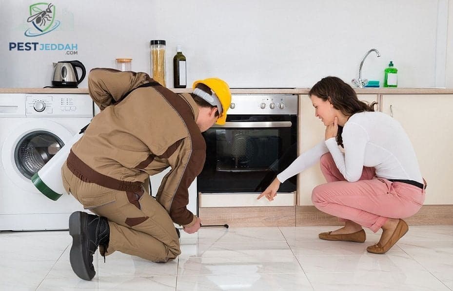 العقود السنوية