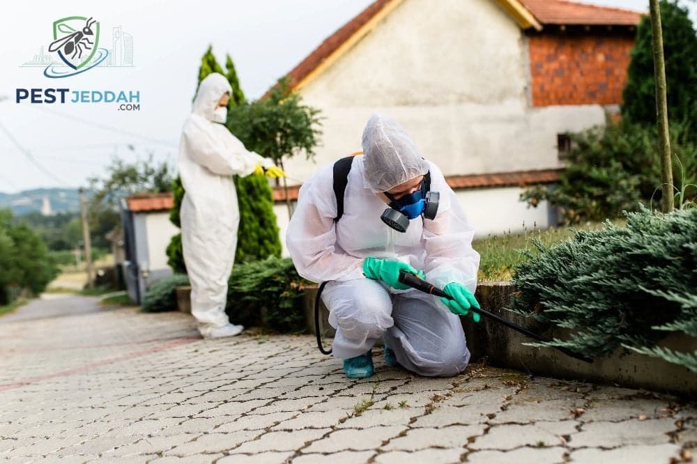 مكافحة النمل الأبيض